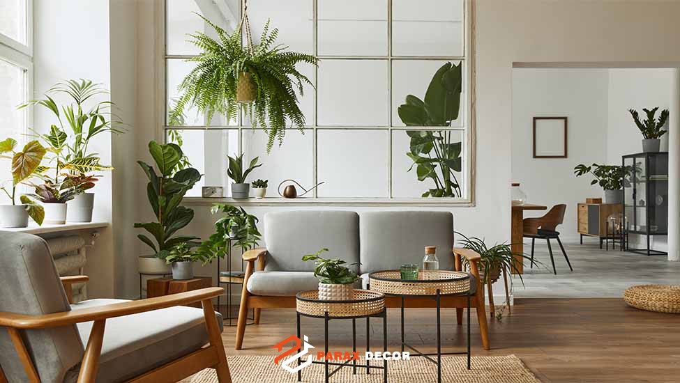 گیاهان طبیعی در دکوراسیون